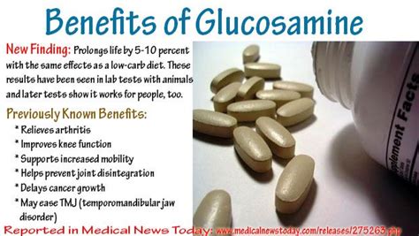 Glucosamine Means More Comfortable Movement And Longer Life More