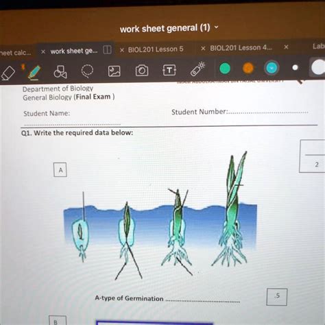 SOLVED I Need Help Worksheet General 1 Worksheet Ge BIOL201