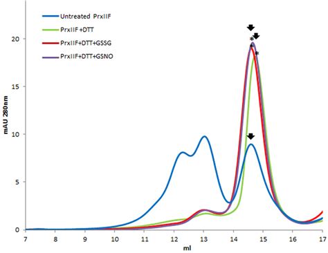 Elution Profile After Size Exclusion Chromatography Through