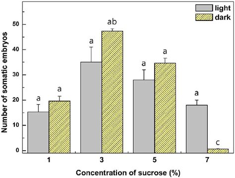 Effects Of Sucrose Concentrations And Light Requirement On Somatic