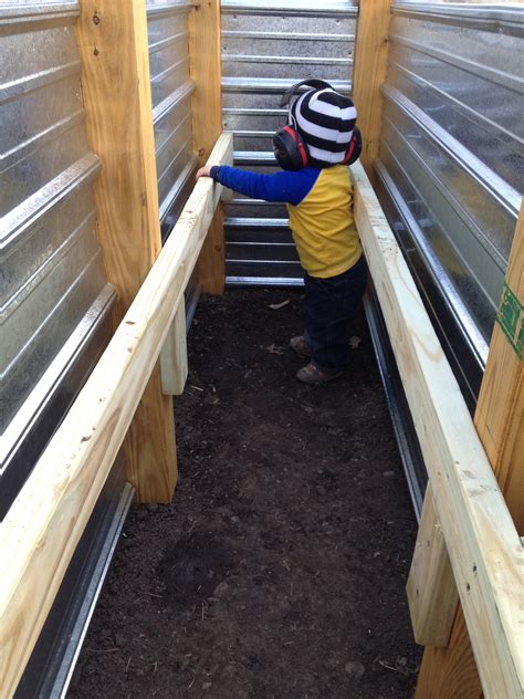 self watering raised garden beds 4