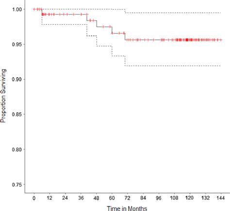 Kaplan Meier Survivorship For All Patients With 95 Confidence