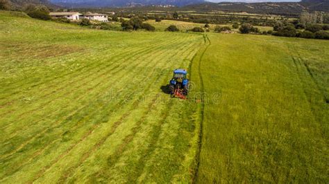 Ojo Del P Jaro Del Cortac Spedes Del Tractor En Funcionamiento Que