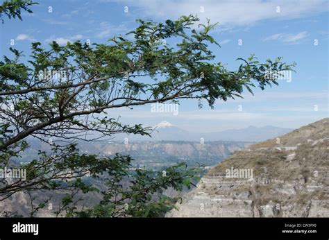 Ecuador Quito Area Valley View Of Snow Capped Cotopaxi Volcano