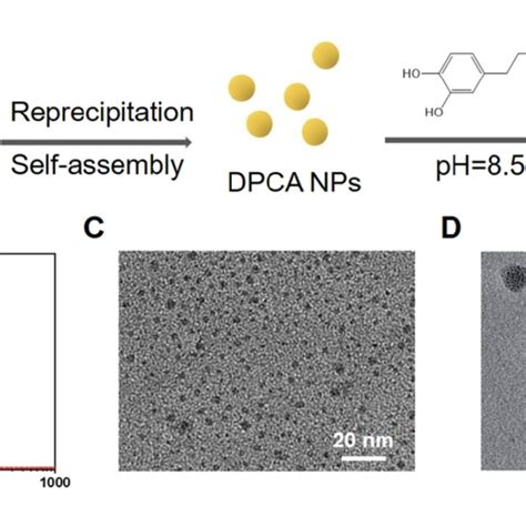 The Synthesis And Characterization Of Dpcapda Nps A The Synthesis