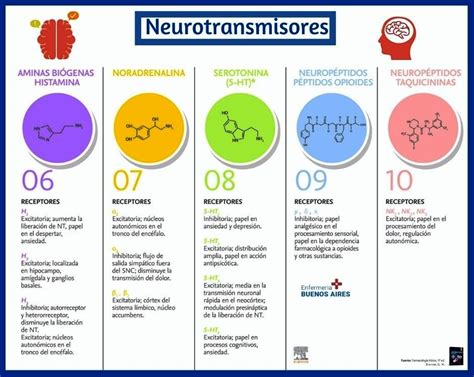 Resumen Clarísimo De Los Neurotransmisores Funciones 2024 Medicine Pie Chart Neuro