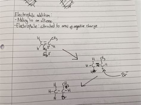 Mechanisms And Benzene Flashcards Quizlet