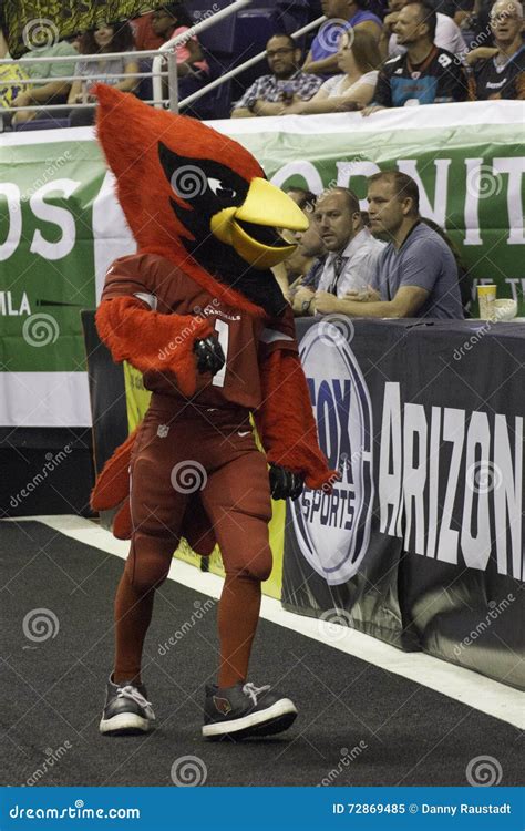 Big Red NFL Arizona Cardinals Mascot Editorial Image - Image of ...