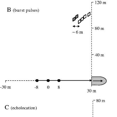 Spectrogram Examples Of A Dolphin Echolocation Click Train A A