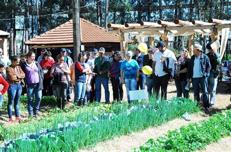 Dia De Campo Da Emater Na Fenamilho Jornal E Revista O Mensageiro