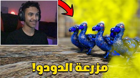 ارك فينكس 4 بداية انتاج البيض Ark Phoenix Youtube