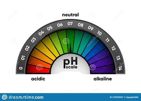 Ph Scale Meter For Acidic And Alkaline Solutions Acid Base Balance