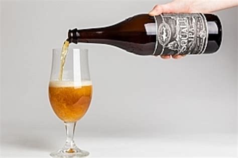 Beer Of The Week Dogfish Heads Squall Ipa The Washington Post