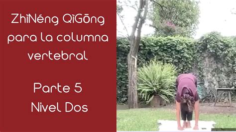 Zh N Ng Q G Ng Columna Vertebral Jun Youtube