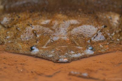 Flat Fuck Friday Tumbex