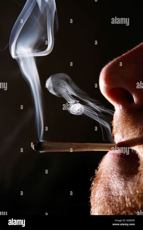 Man Smoking A Cannabis Joint Stock Photo Alamy