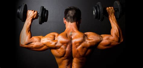 6 Lifts To Fix Your Overhead Press — Advanced Human Performance Official Website Home Of Dr