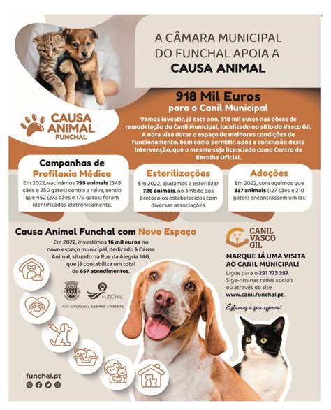 Funchal reserva mais de um milhão para a Causa Animal Projeto