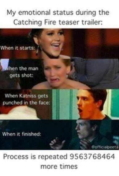 Catching Fire With Images Hunger Games Memes Hunger Games Humor