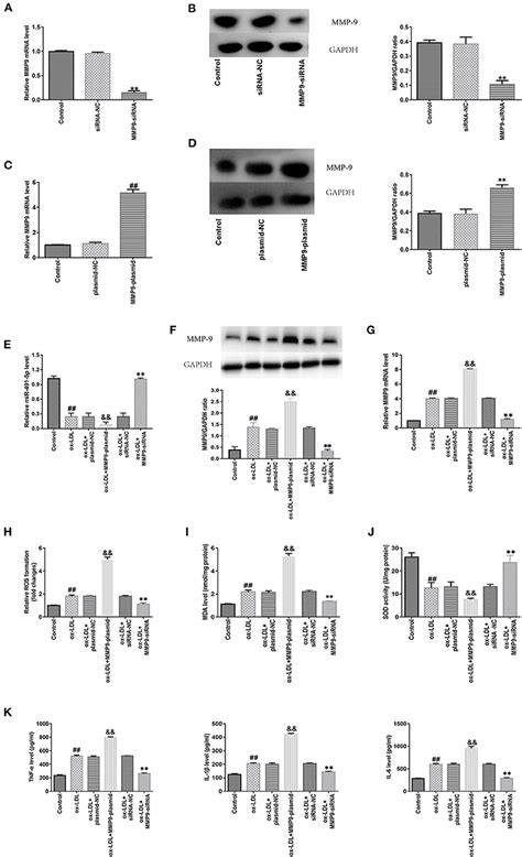 Frontiers Ox Ldl Aggravates The Oxidative Stress And Inflammatory