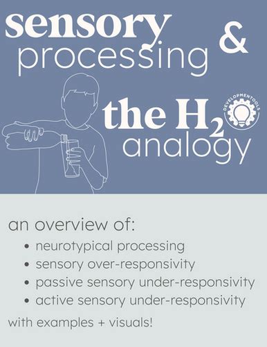 Sensory Simplified Sensory Processing The H2o Analogy Ot Slp Sped Developmentools