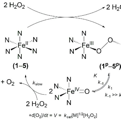 Comparison Of The P P Mediated Disproportionation Reaction Of