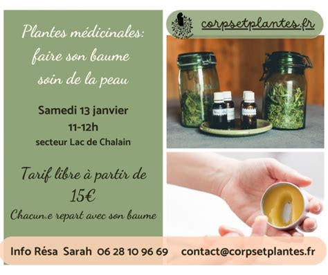 Plantes M Dicinales Faire Son Baume Soins De La Peau Tela Botanica