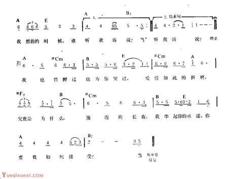 吉他弹唱金曲《想你的时候》简谱版 指弹吉他谱 乐器学习网