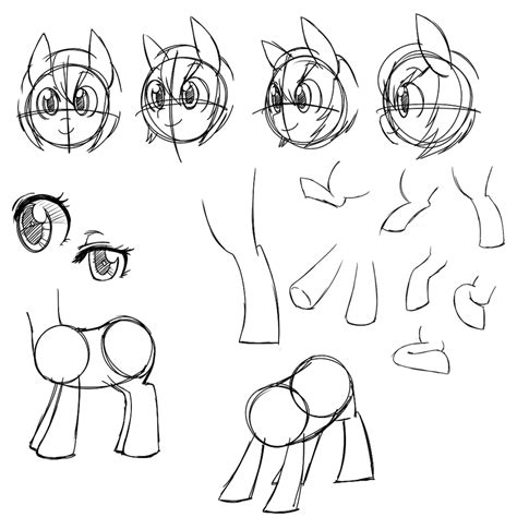 Pony Anatomy Sketches by pekou on DeviantArt