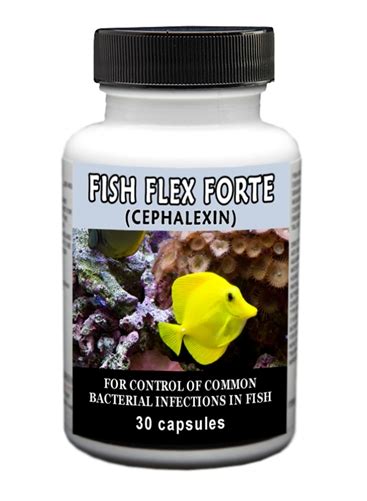 Fish Flex Forte L Cephalexin For Fish Medi Vet