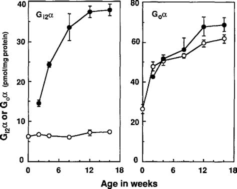 PDF Differential Localization Of G Proteins Gi And Go In The