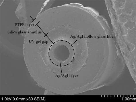 Cross Sectional SEM Morphology Of The PTFE Coated Dual Core Hollow