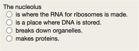 Solved The nucleolus is where the RNA for ribosomes is made. | Chegg.com