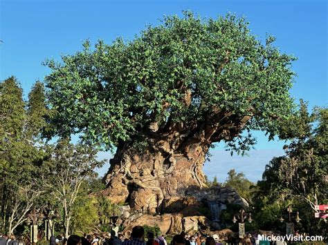 Disney Animal Kingdom Tickets 2024 - Prices, Discounts, Tips