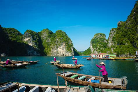 Tea In Hanoi That You Should Try During Tours Impress Travel