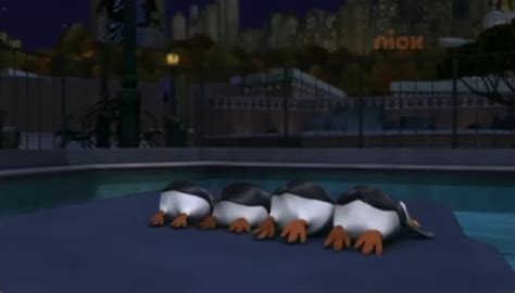 Butts Penguins Of Madagascar Photo 30672162 Fanpop