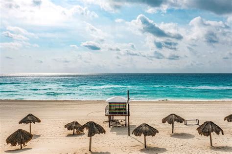 DELFINES CHAC MOOL Y LAS PERLAS PRIMERAS PLAYAS QUE ABRIRÁN EN CANCÚN