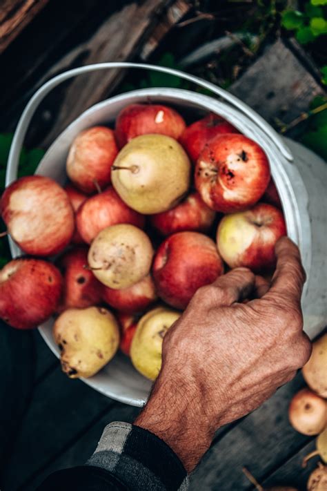 Manzanas Frutas Cosecha Foto Gratis En Pixabay Pixabay