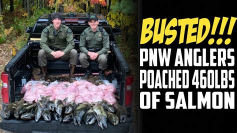 Pnw Anglers Caught Poaching 460lbs Of Salmon In Michigan Youtube