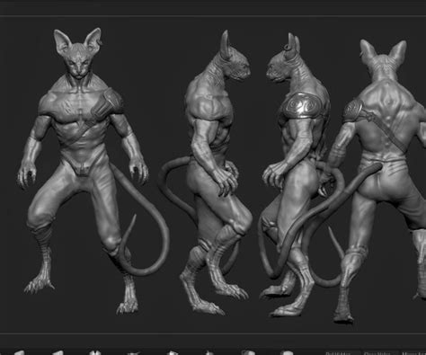 ArtStation - The cat warrior stl file | Resources