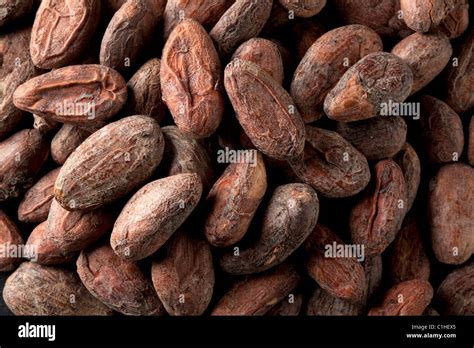 Cocoa Beans Hi Res Stock Photography And Images Alamy