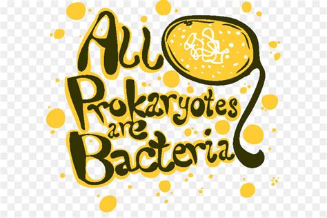 Free: Clip art Illustration Prokaryote Microbiology Bacteria ... - Clip ...