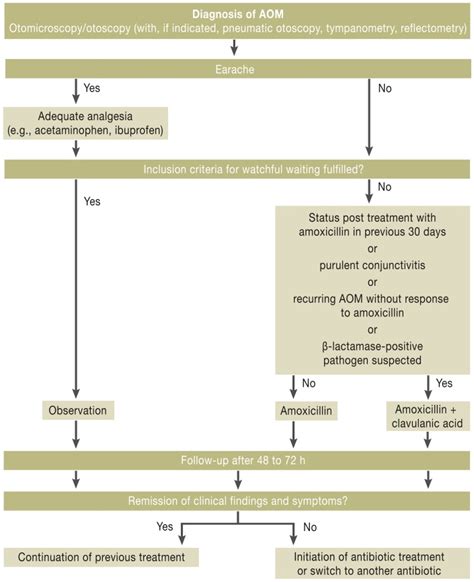 Aap Otitis Media Guidelines 2023 Flash Sales Sukan Co In