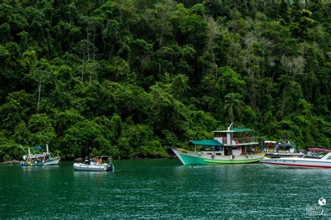 Passeio De Escuna Em Paraty Rj Top 8 Dicas Preços E Roteiros