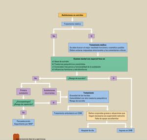 Protocolo diagnóstico y tratamiento de las autolesiones en la