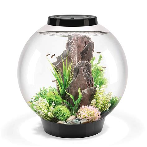 Best 15 Gallon Fish Tank: Aquarium Reviews and Setup Ideas