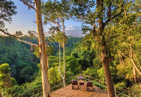 Luna De Miel En Tanzania Mejores Hoteles Y Consejos Dae