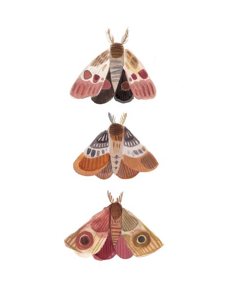 KASS REICH Illustration Moth Art Print Giclee Art Print Wall Art