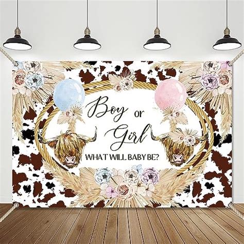 Amazon Crefelimas Holy Cow Boy Or Girl Backdrop Pink And Blue