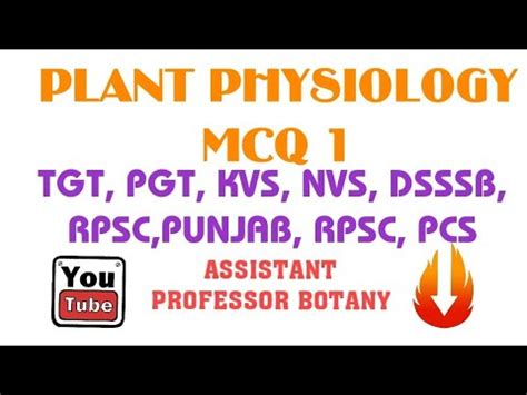 Plant Physiology Mcq Tgt Pgt Kvs Nvs Dsssb Rpsc Pcs Assistant